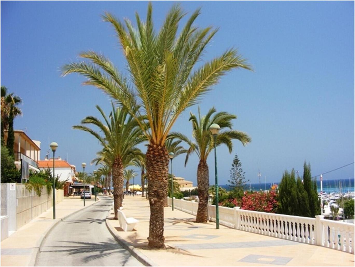 Torre De La Horadada - Modern And Comfortable 2 Bedroom Apartment Close To The Beach Torre de la Horadada Eksteriør bilde